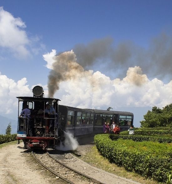 Prakriti Tour  & Travles