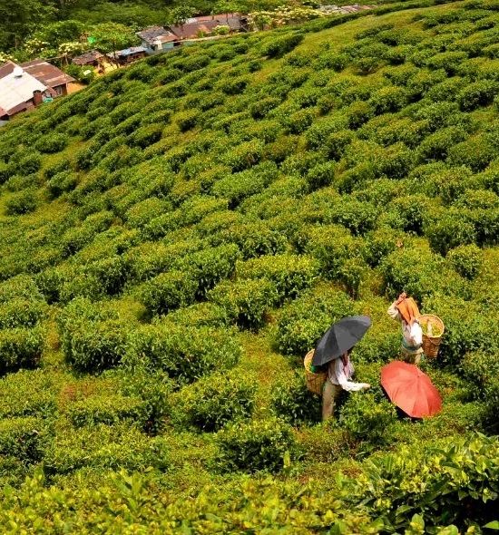 Prakriti Tour  & Travles