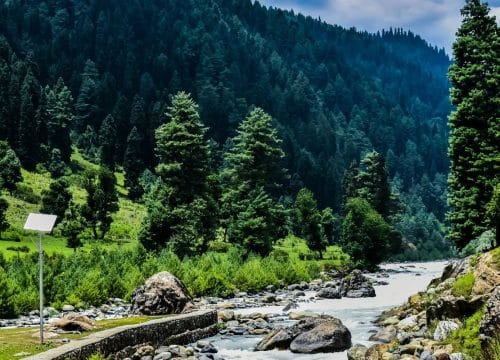 Discover Darjeeling – The Queen of Hills