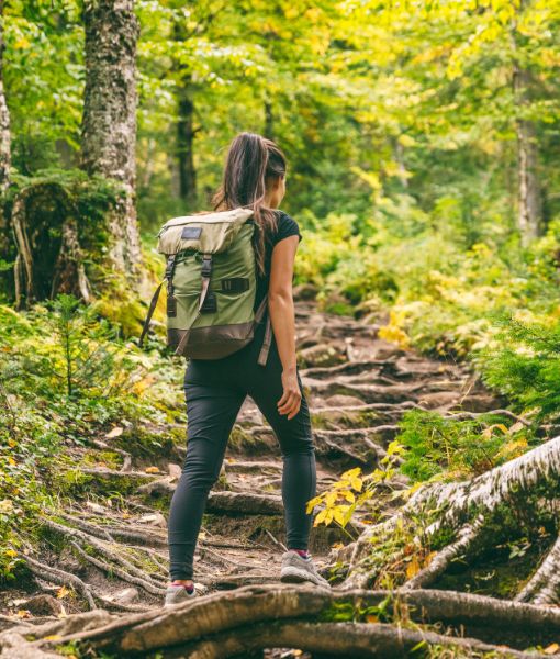 Trekking & Hiking
