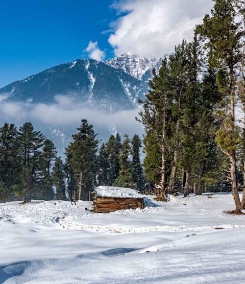 Kashmir Paradise Tour