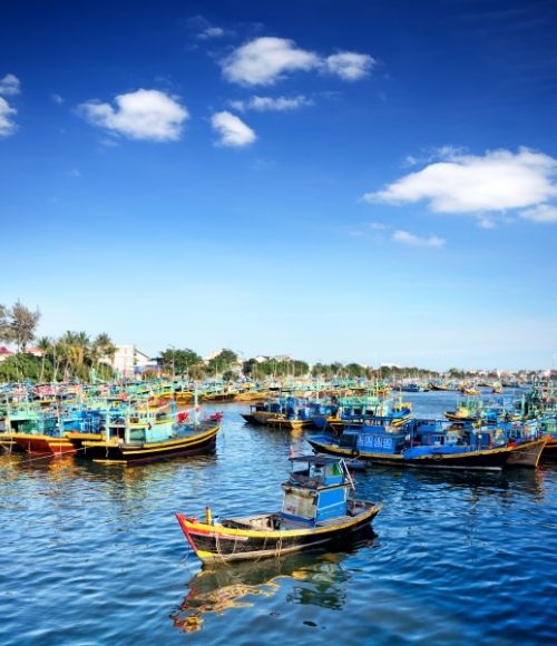  Vietnam Voyage