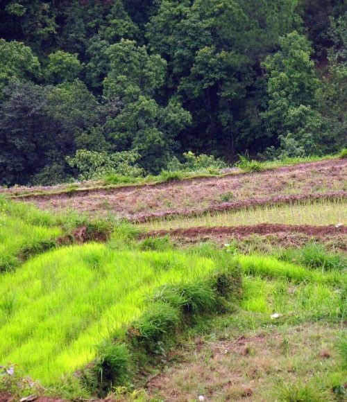 Nepal  